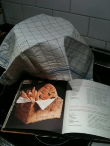 grissini1 grissini1